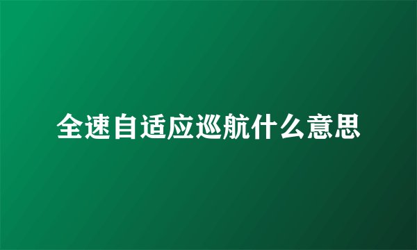 全速自适应巡航什么意思