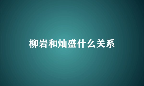 柳岩和灿盛什么关系