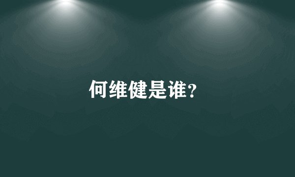 何维健是谁?