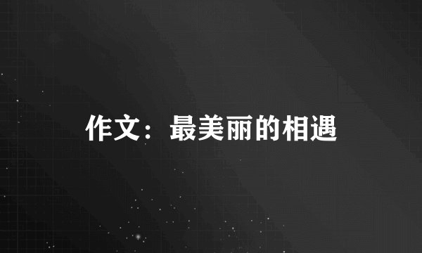 作文：最美丽的相遇