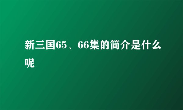 新三国65、66集的简介是什么呢