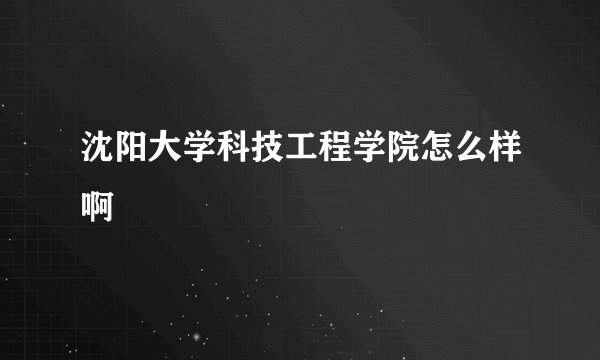 沈阳大学科技工程学院怎么样啊
