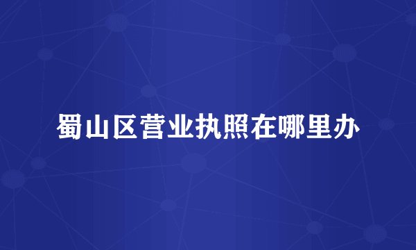 蜀山区营业执照在哪里办