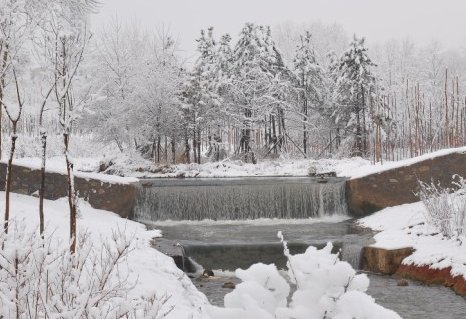 北方暴雪即将上线，多地初雪即暴雪，如何预防雪灾的发生？