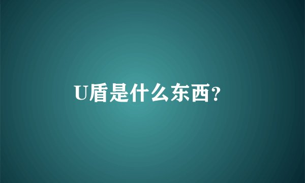 U盾是什么东西？