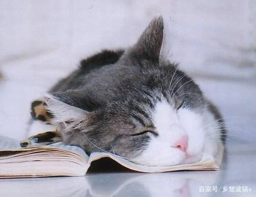 不少人熟睡时候会突然抖一下,这个到底是怎么回事?