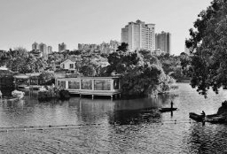 男子住宾馆遇老鼠还被蜈蚣咬伤怎么解决的？