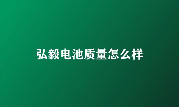 弘毅电池质量怎么样