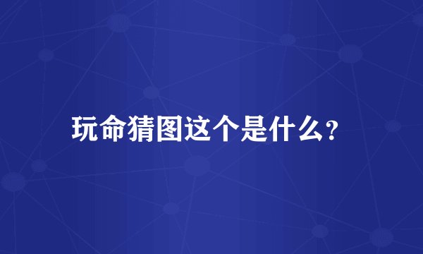 玩命猜图这个是什么？