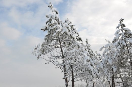 北方暴雪即将上线，多地初雪即暴雪，如何预防雪灾的发生？