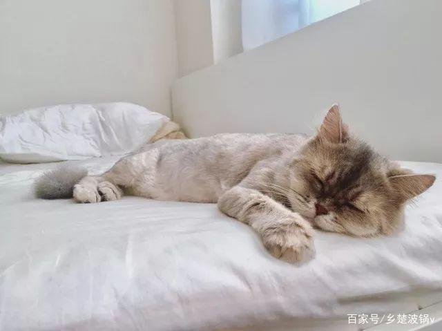 不少人熟睡时候会突然抖一下,这个到底是怎么回事?