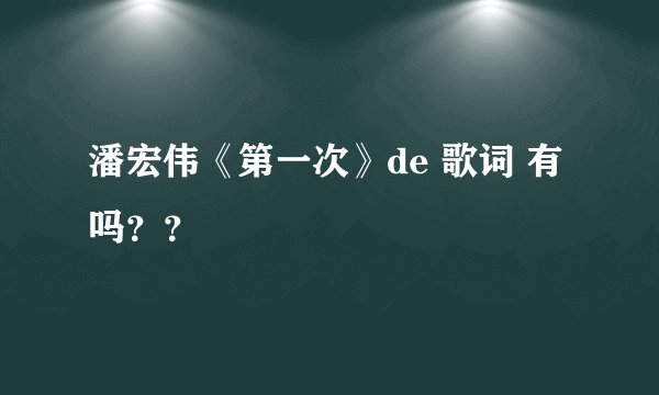 潘宏伟《第一次》de 歌词 有吗??
