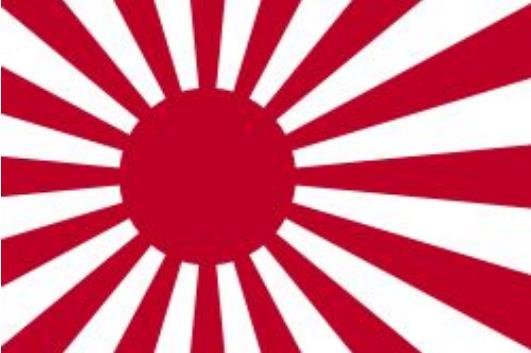 日本陆上自卫队和海上自卫队装备的旭日旗不一样？那么2战日本陆军装备的旭日旗是几条线？