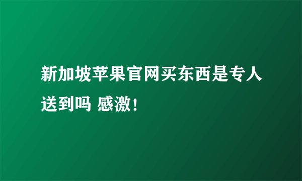新加坡苹果官网买东西是专人送到吗 感激！