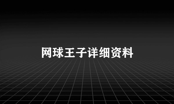 网球王子详细资料