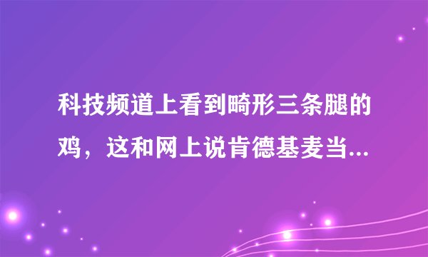 科技频道上看到畸形三条腿的鸡,这和网上说肯德基麦当劳用的六翅鸡是一个道理么?