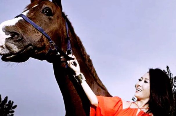 感动了几代人，听哭了几代人，程琳经典老歌《风雨兼程》究竟有何魔力？