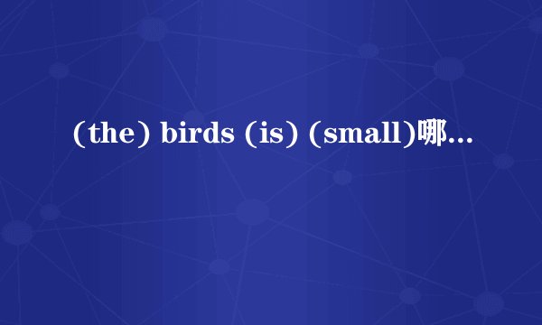 (the) birds (is) (small)哪个是错误的？