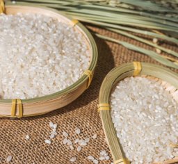 真正的有机大米多少钱一斤