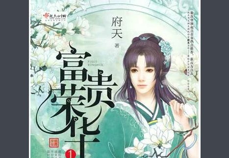 富贵荣华府天男主角是谁