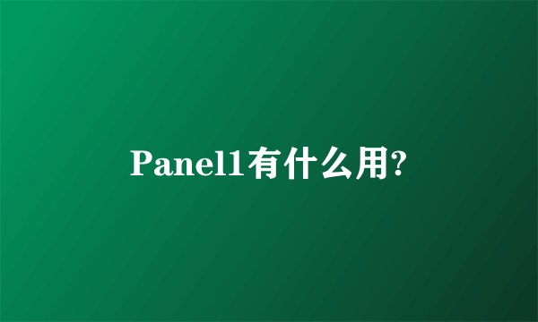 Panel1有什么用?