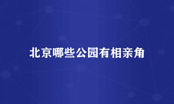 北京哪些公园有相亲角