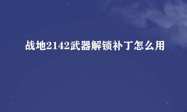 战地2142武器解锁补丁怎么用