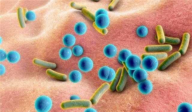 降低胆固醇的药物，你知道有哪些？