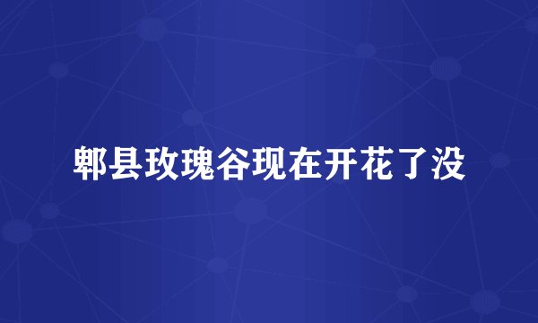 郫县玫瑰谷现在开花了没