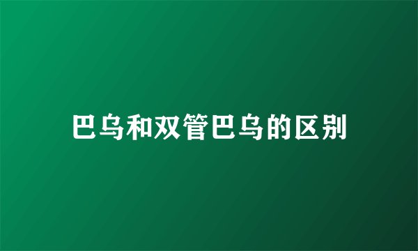 巴乌和双管巴乌的区别