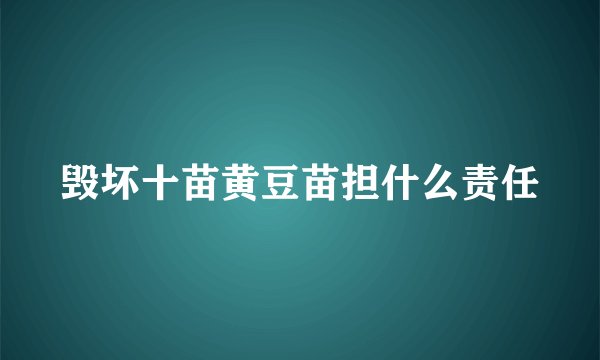 毁坏十苗黄豆苗担什么责任