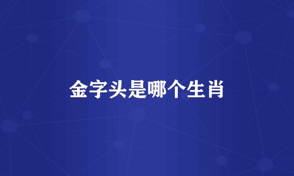 金字头是哪个生肖