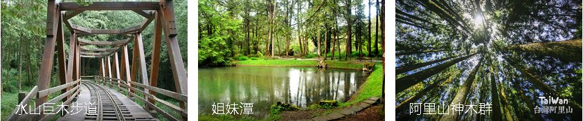 阿里山怎么玩?一天时间可以么?