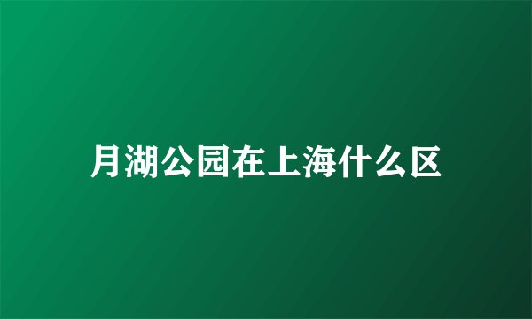 月湖公园在上海什么区