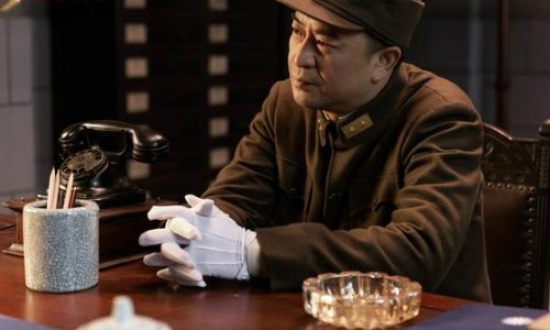 你如何评价《河山》中秦海璐的演技？