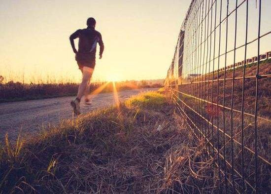 有谁知道身体各部的长度与身高的比例或计算公式