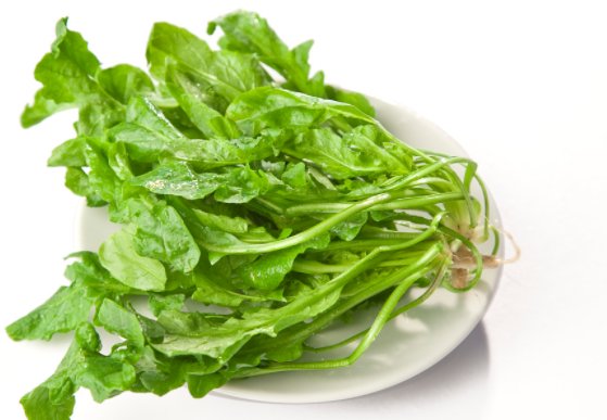 什么叫荠菜？什么样子？