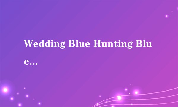 Wedding Blue Hunting Blue 安装不了，求助