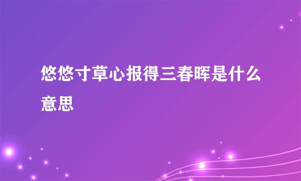 悠悠寸草心报得三春晖是什么意思